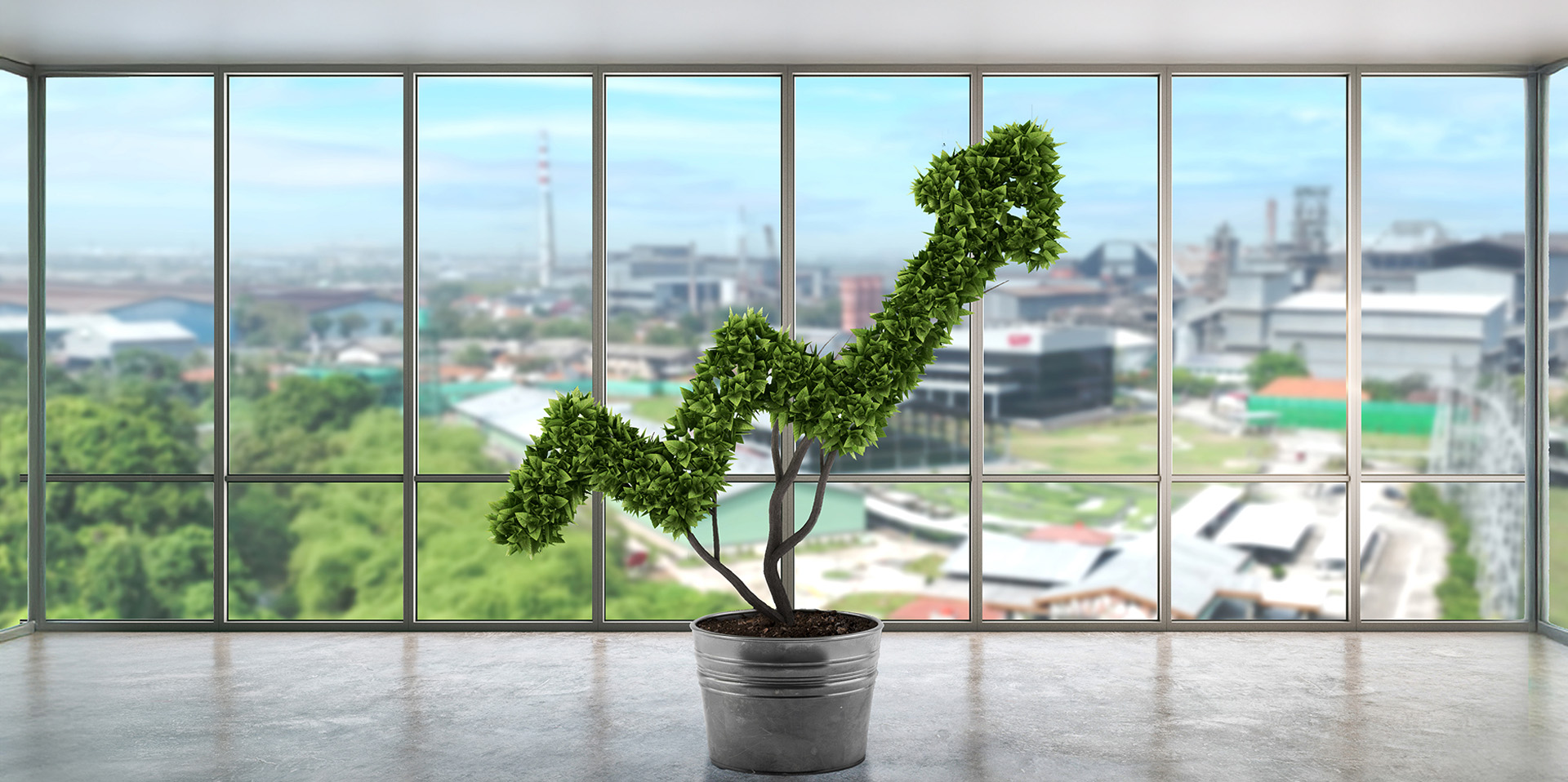 Sustainable Growth
