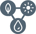 Biodiversity Icon